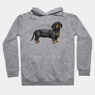 Black and Tan Dachshund Dog | Cute Sausage Dog Hoodie